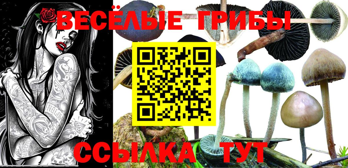 Галлюциногенные грибы Magic Shrooms  Вход с VPN  Киров 
